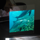 3D Transparent Grey Rear Projection Film Advertising Holographic Screen Glass Film