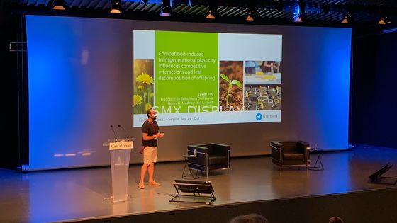 qualidade grande tela de projeção 350inch motorizada com controlo a distância do RF Fábrica